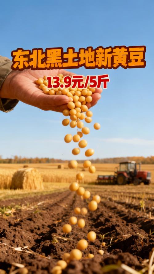2025湖北黄豆价格-图2