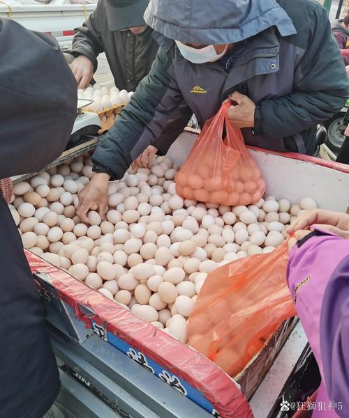 齐齐哈尔今天鸡蛋价格多少钱一斤？-图2