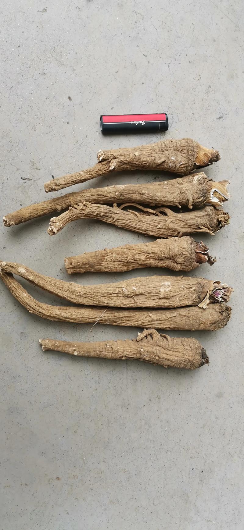 2025白芷价格会涨还是跌？-图3