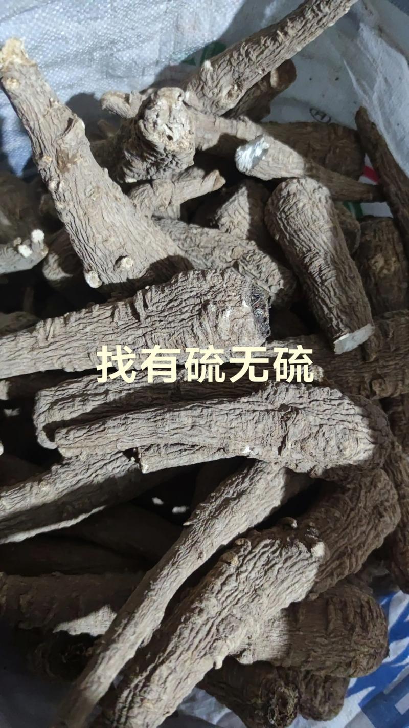 2025白芷价格会涨还是跌？-图2