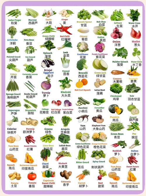 这些特色蔬菜品种有何独特之处？-图1