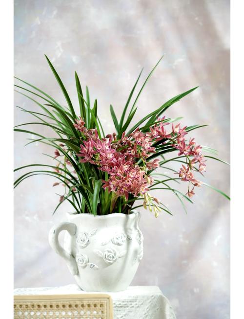 品种蕙兰图片大全，哪种最值得看？-图2