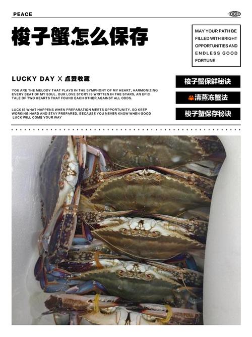 最新梭子蟹暂养技术有哪些要点？-图1