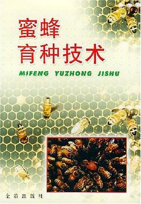 如何快速培育中蜂强群？-图3