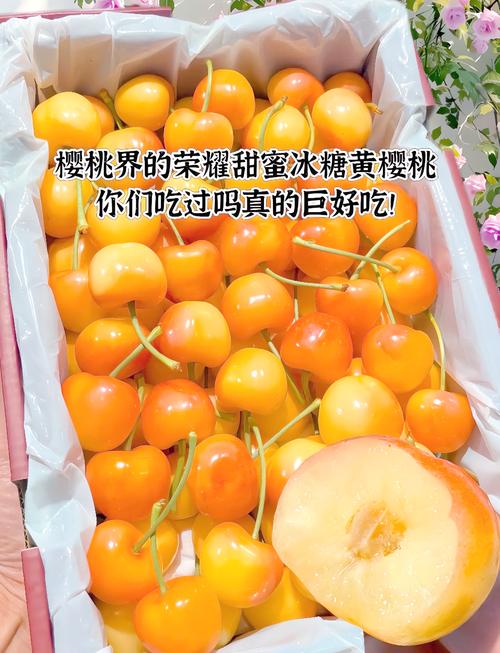 樱桃品种那么多，到底哪个最好吃？-图3