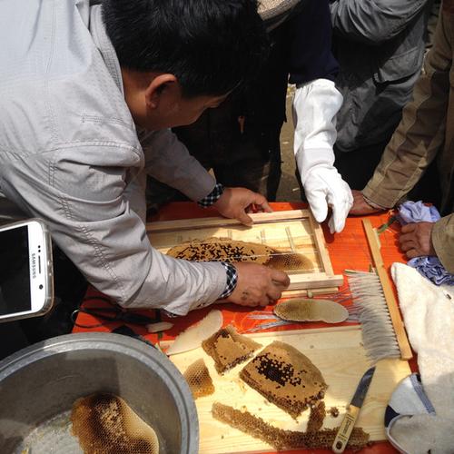 中蜂养殖夜间过箱技术-图1