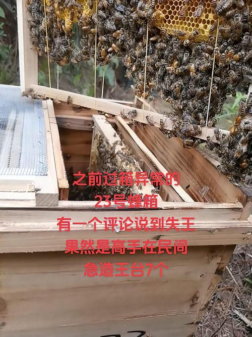 中蜂养殖夜间过箱技术-图2