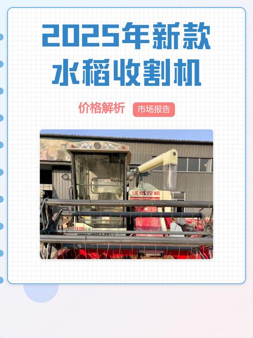 2025辽宁水稻价格-图3