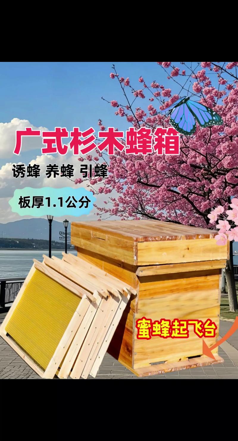 中蜂活框饲养技术视频怎么学？-图2