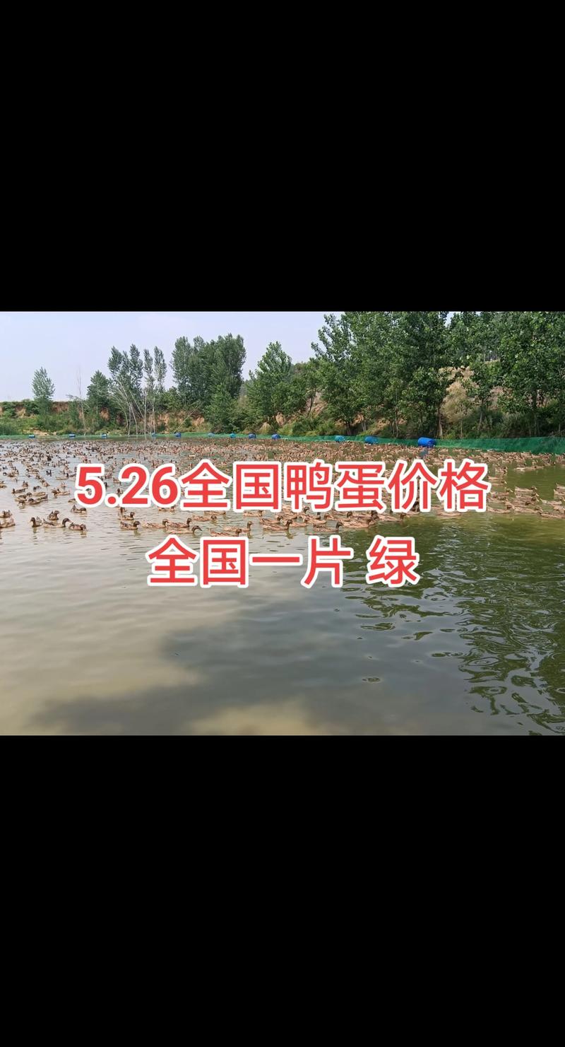2025年赤峰鸭蛋价格会涨还是跌？-图1