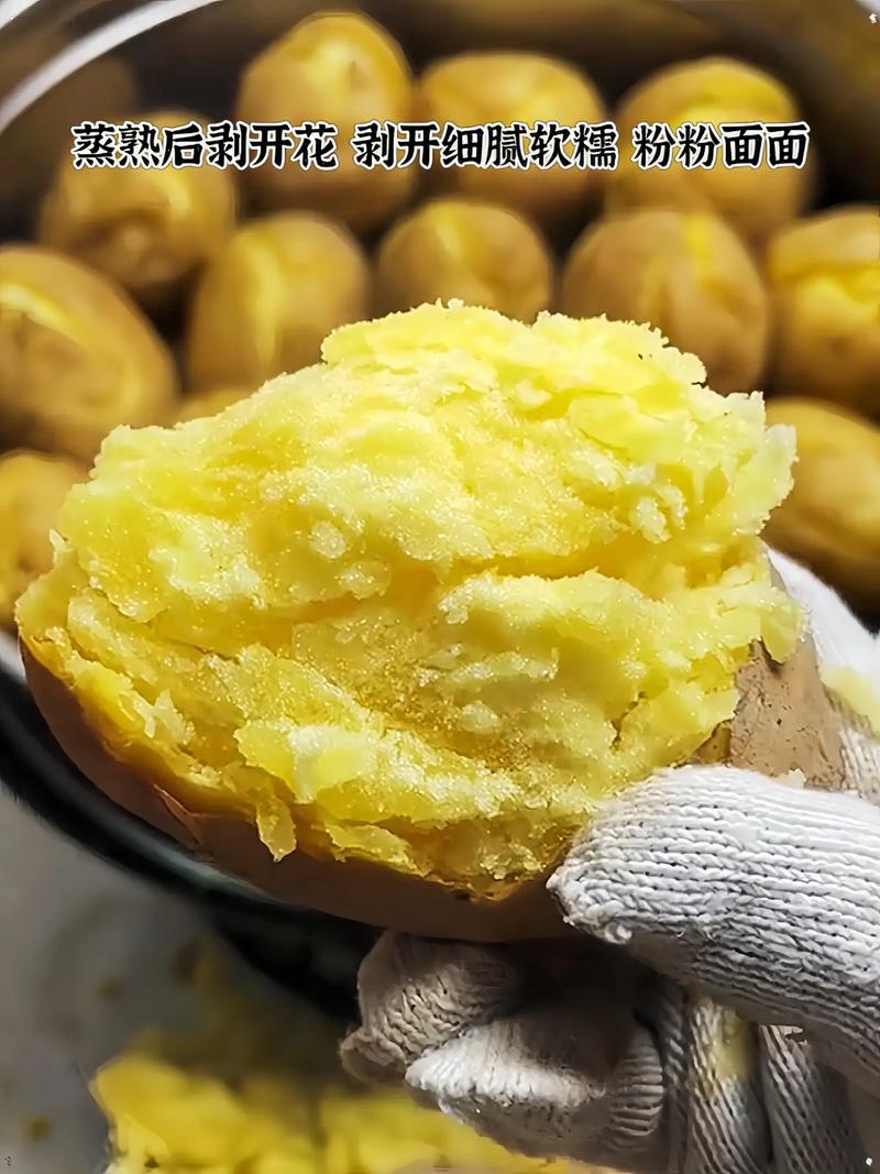 2025马铃薯价格会涨还是跌？-图1