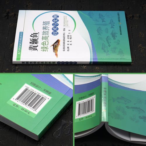 工厂式黄颡鱼养殖技术要点有哪些？-图1