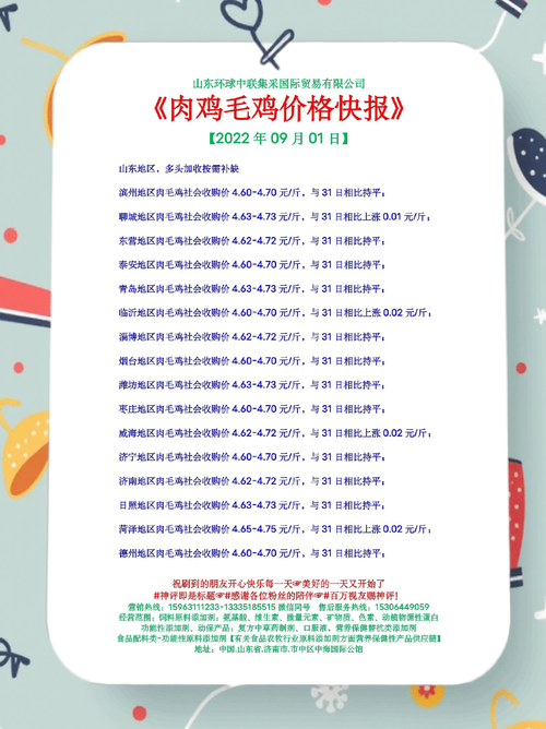 辽宁毛鸡价格今日行情如何？-图1