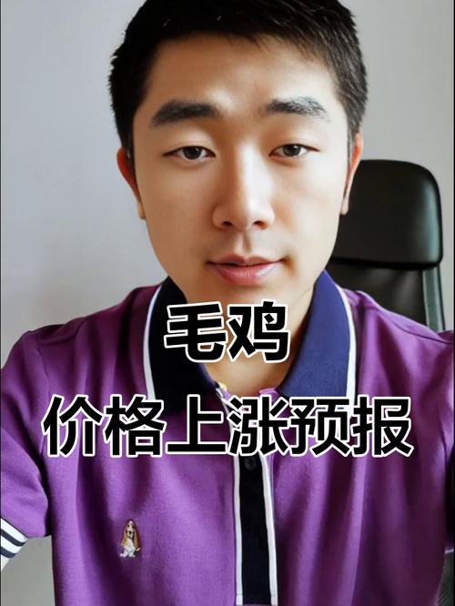 辽宁毛鸡价格今日行情如何？-图3