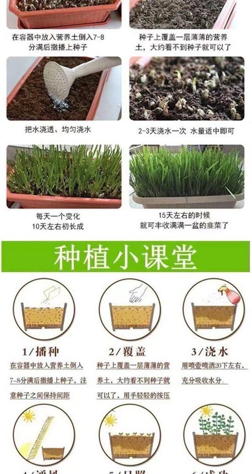 无土栽培韭菜技术视频怎么学？-图3