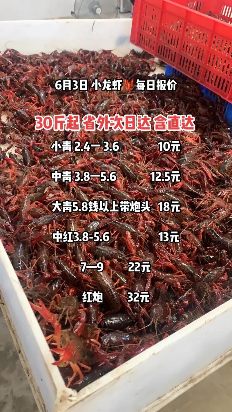 龙虾苗价格为何波动大？小龙虾价格受何影响？-图1