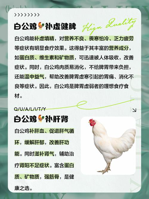 白羽鸡最新价格多少？-图2