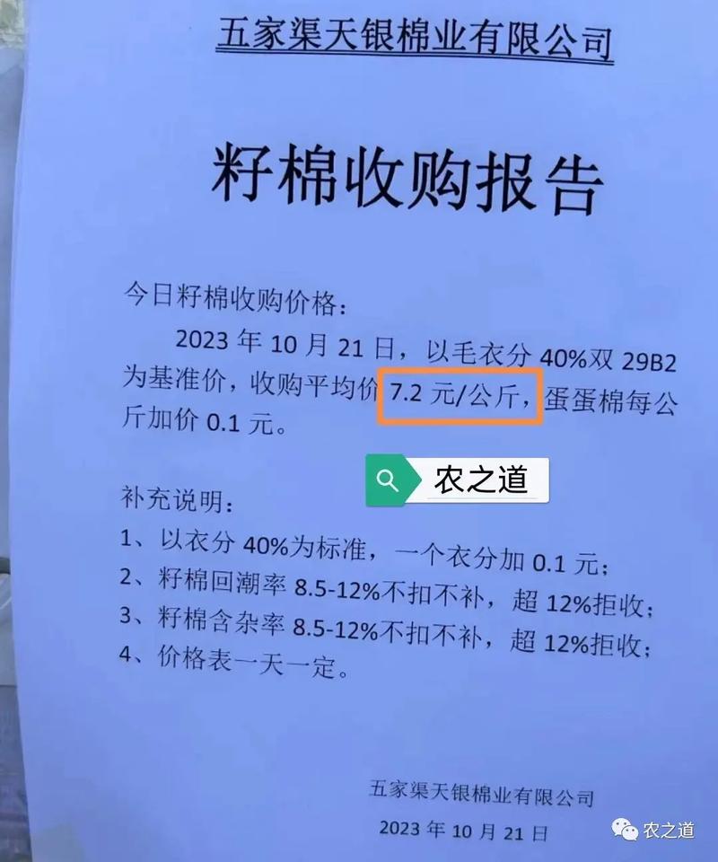 山东籽棉最新价格具体是多少？-图1