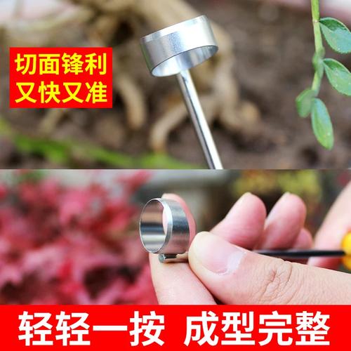 中蜂育王视频全集，如何系统掌握核心技术？-图3