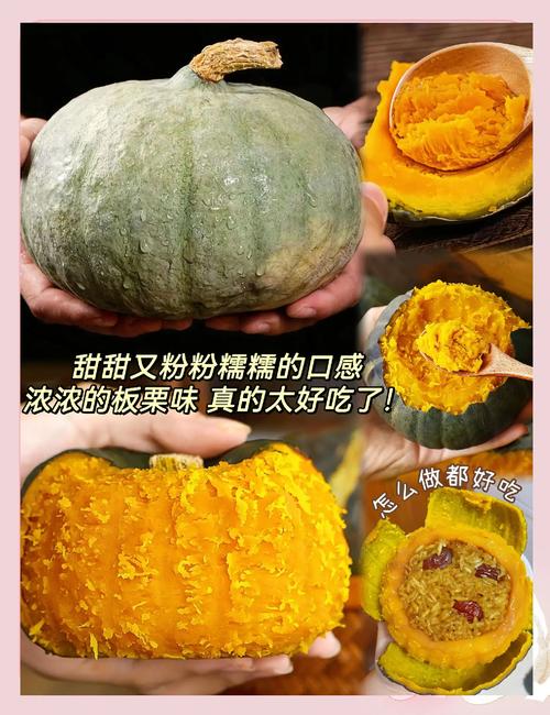 南瓜什么品种最香甜软糯？-图2
