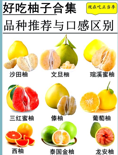 柚子品种这么多，哪些常见又好吃？-图1