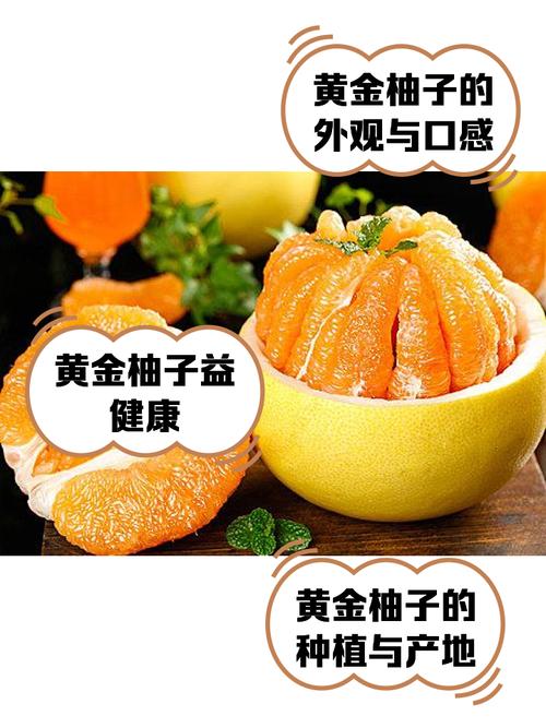 柚子品种这么多，哪些常见又好吃？-图2