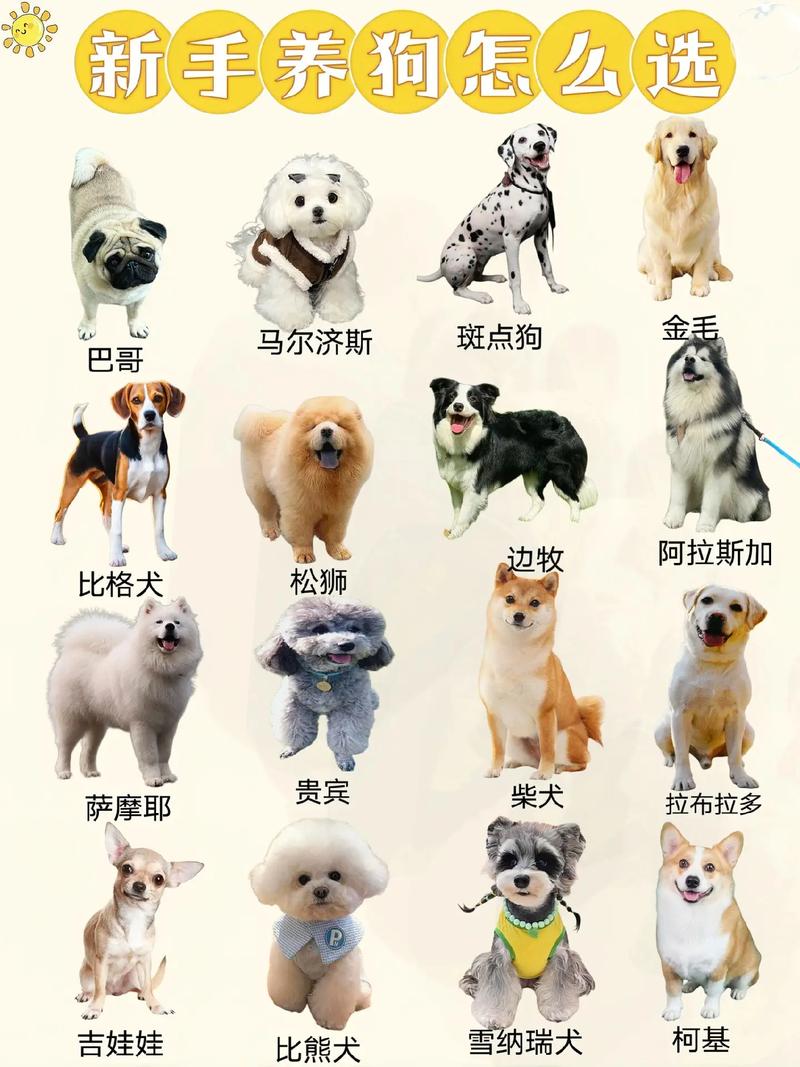 养狗赚钱吗？热门狗品种有哪些？-图3