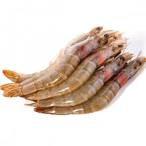 南美白对虾苗淡化技术要点是什么？-图3