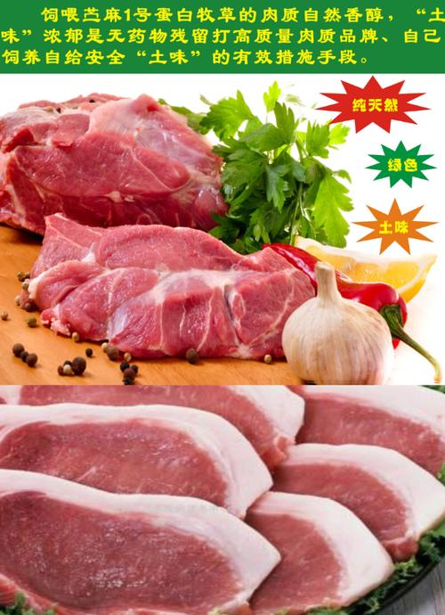 高蛋白牧草品种及图片-图2