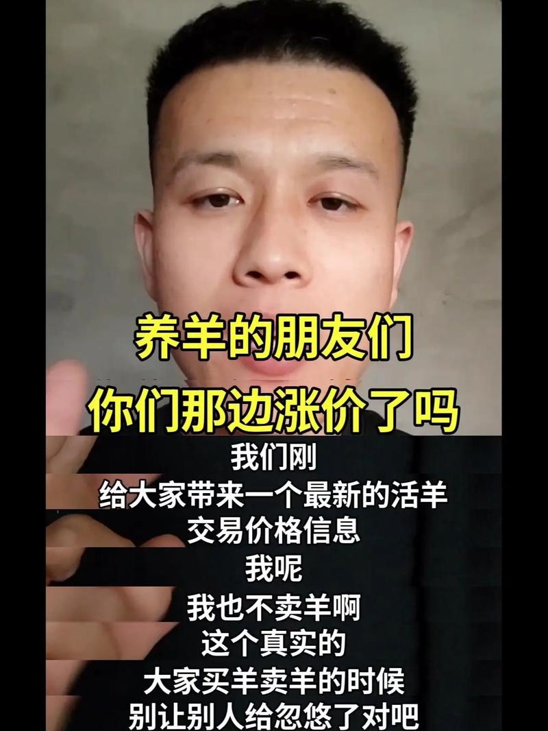 高脚羊一只成本价究竟是多少？-图2