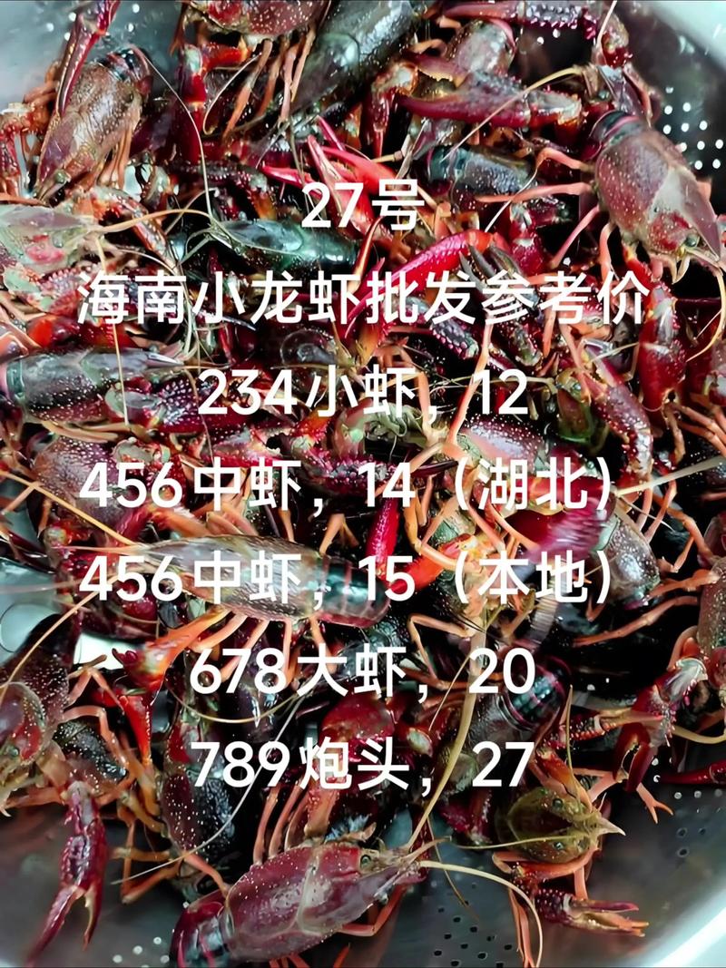 7月小龙虾市场价格怎么样？-图2