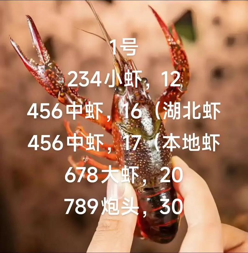 7月小龙虾市场价格怎么样？-图3