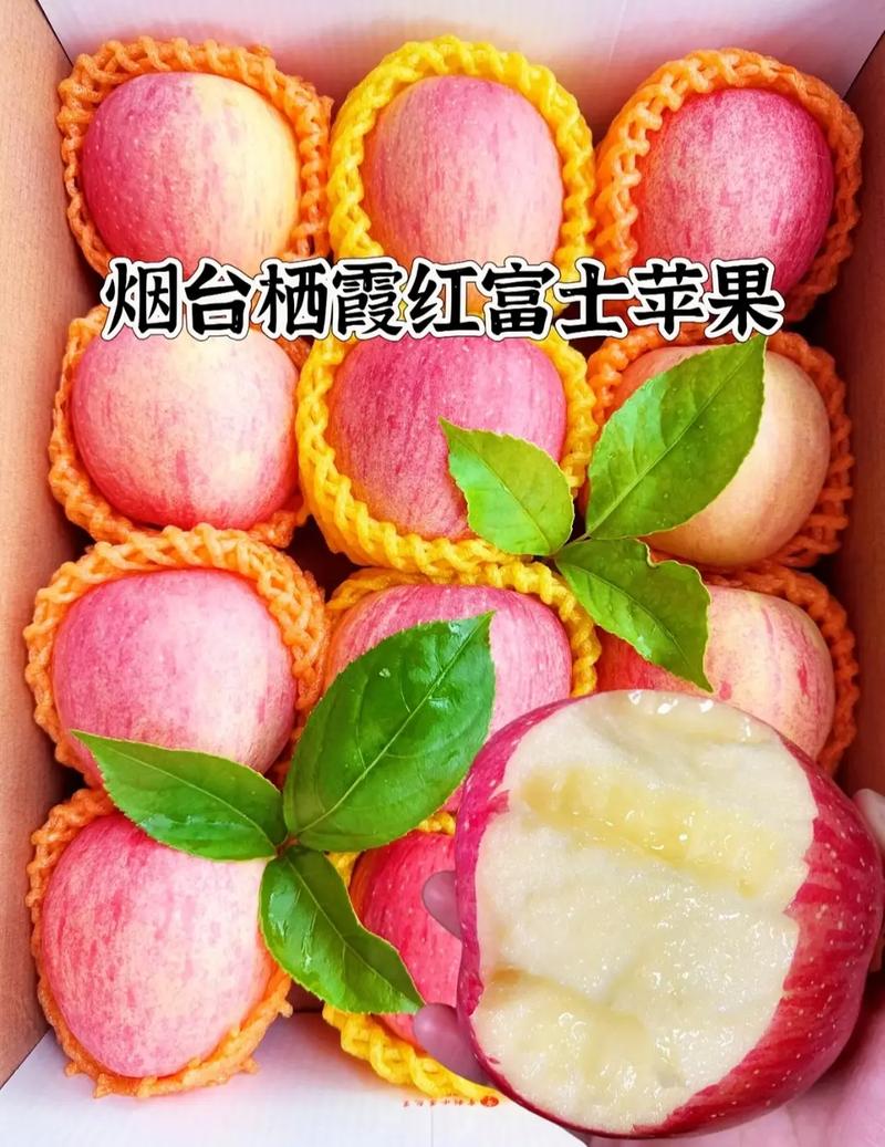 红富士苹果价格多少钱一斤？-图1