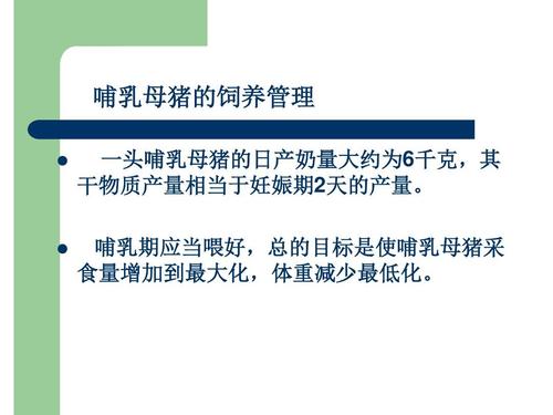 哺乳母猪饲养管理有何关键技术？-图1