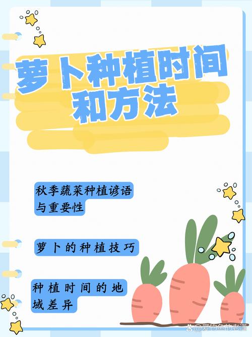 冬萝卜何时种？关键技术有哪些？-图3