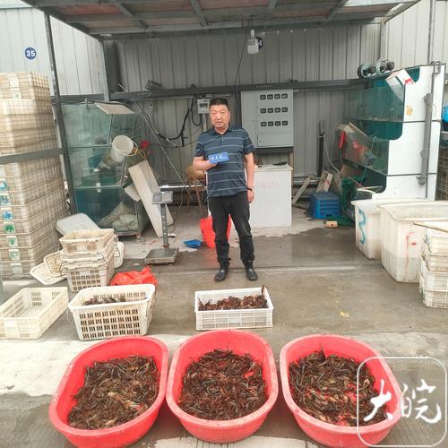 周谷堆水产品批发价格最新行情如何？-图3