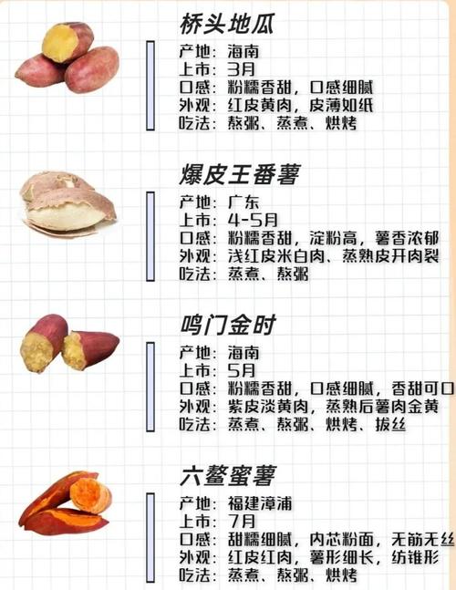2025年红薯主推品种有哪些？-图2