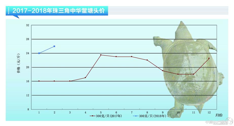 甲鱼价格现在啥走势?未来会涨还是跌?-图1 甲鱼价格现在啥走势?未来会涨还是跌?-图1