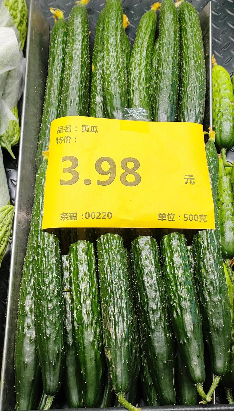 辽宁黄瓜批发价格行情-图1