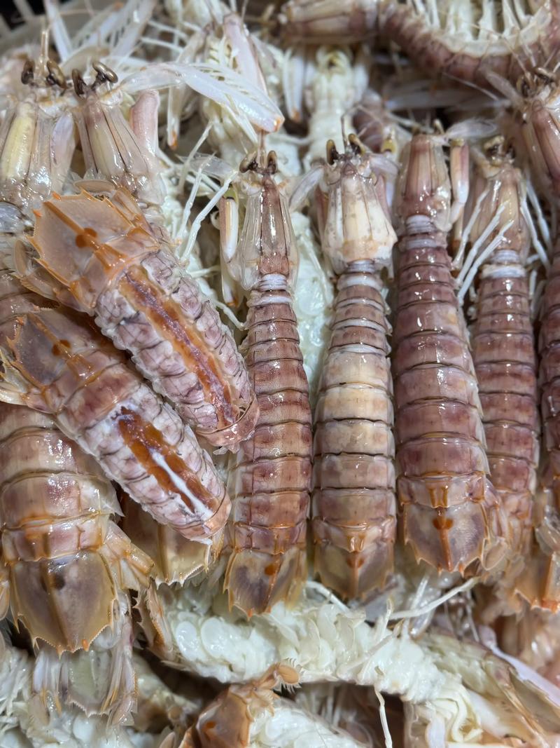 北海虾价格多少钱一斤？-图1