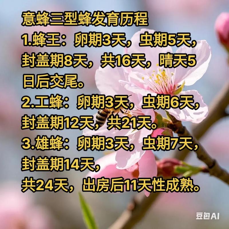 蜜蜂养殖技术资料哪里能下载?-图2 蜜蜂养殖技术资料哪里能下载?-图2