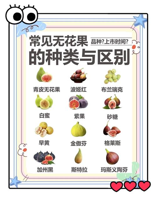 无花果种类品种有哪些？-图1