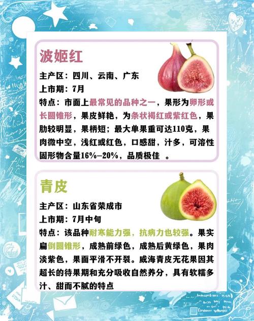 无花果种类品种有哪些？-图2