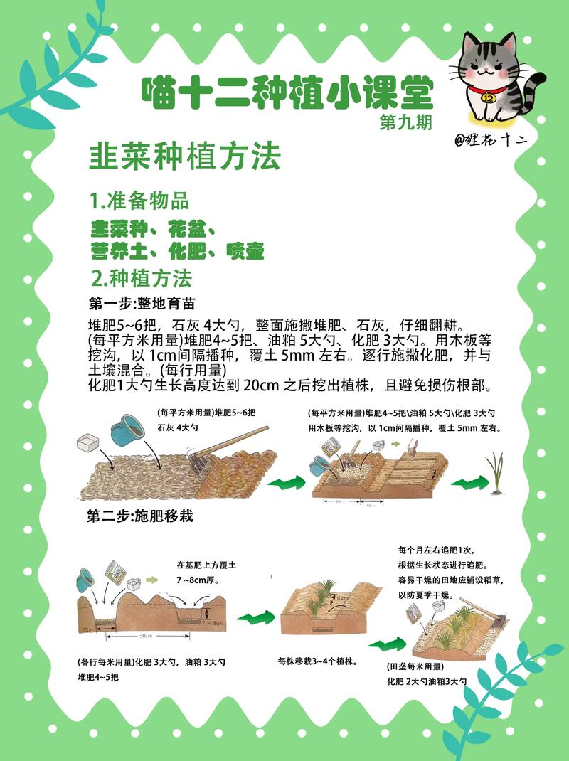 盆栽有机韭菜种植技术-图1