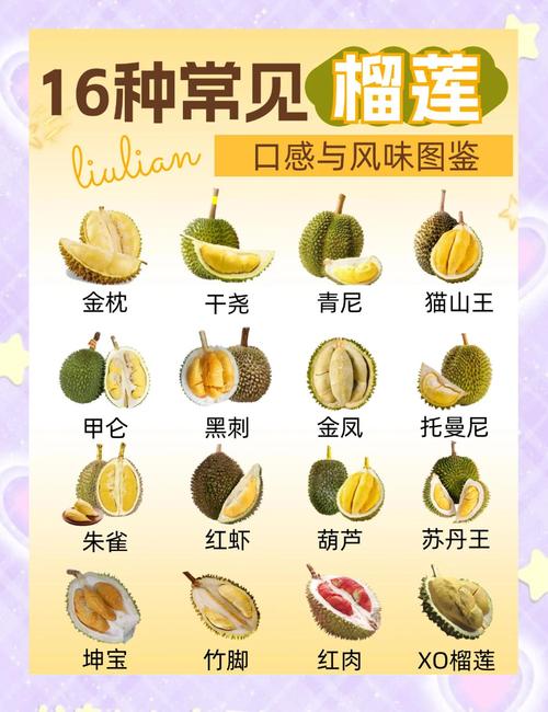 榴莲品种如何靠图片辨认？-图1