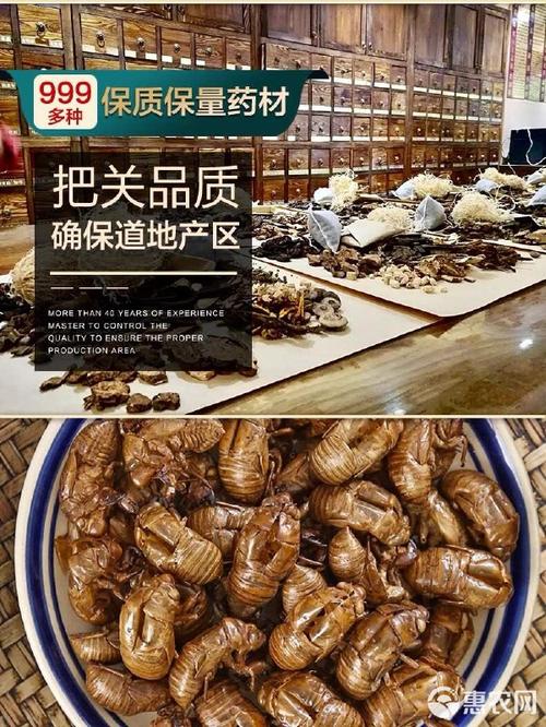 金蝉皮价格究竟多少钱一斤？-图2