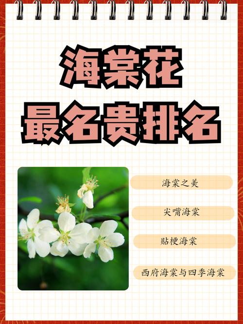 海棠花品种图片有多少种？-图3