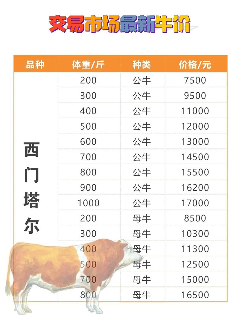 西门塔尔肉牛收购价现在多少？-图1