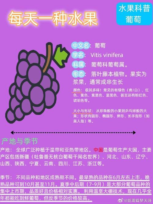 葡萄品种繁多，如何辨识？-图3