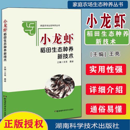 龙虾稻田养殖最新技术有哪些要点?-图2 龙虾稻田养殖最新技术有哪些要点?-图2